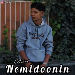 دانلود آهنگ عادل نمیدونین
