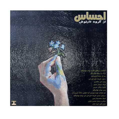 دانلود آهنگ گروه تارنوش احساس