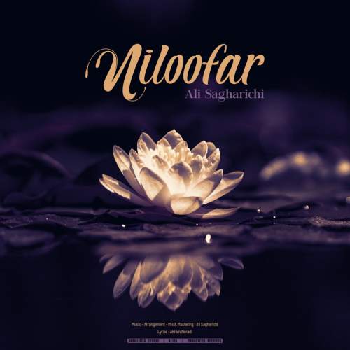 دانلود آهنگ علی ساغریچی نیلوفر
