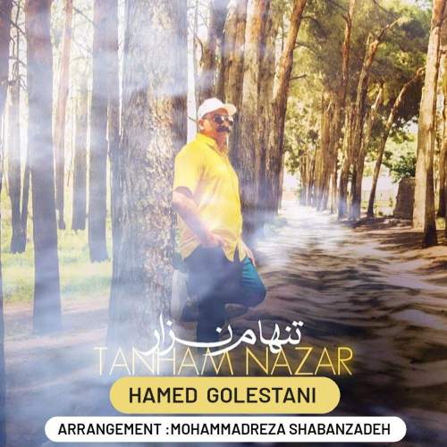 دانلود آهنگ حامد گلستانی تنهام نزار