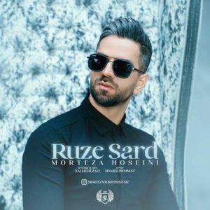 دانلود آهنگ مرتضی حسینی روز سرد