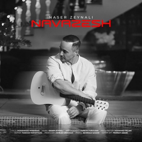 دانلود آهنگ ناصر زینلی نوازش (ناصر زینعلی)