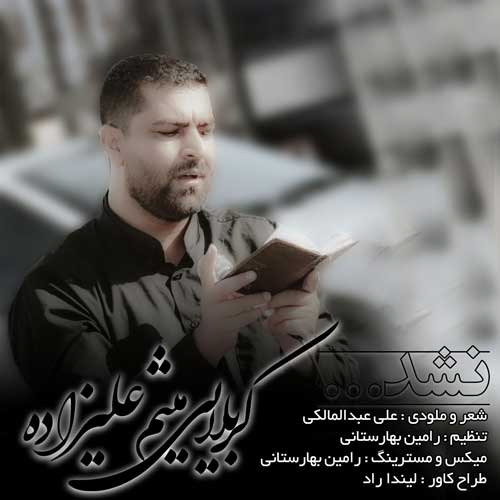 دانلود آهنگ میثم علیزاده نشد