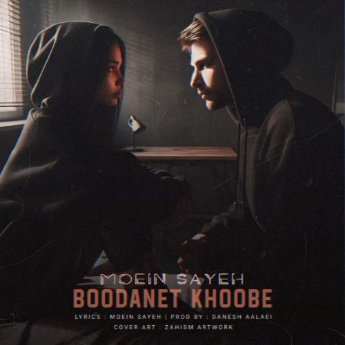 دانلود آهنگ معین سایه بودنت خوبه