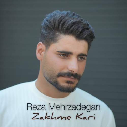 دانلود آهنگ رضا مهرزادگان زخم کاری