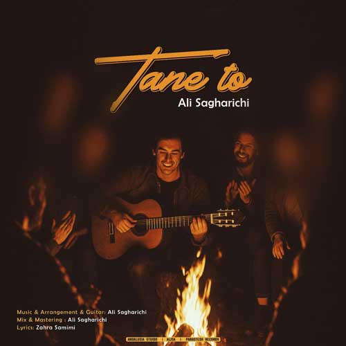 دانلود آهنگ علی ساغریچی تن تو