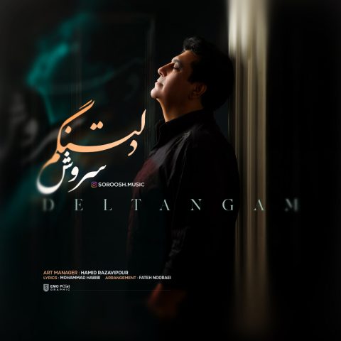 دانلود آهنگ سروش دلتنگم