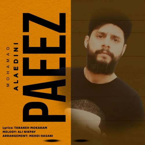 دانلود آهنگ محمد علاءالدینی پاییز