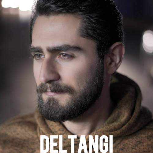 دانلود آهنگ سینا توسلی دلتنگی