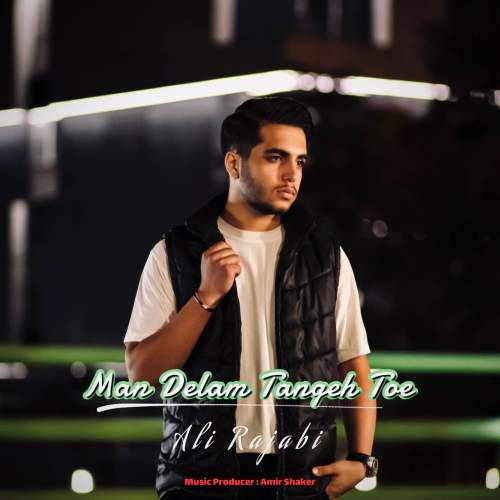 دانلود آهنگ علی رجبی من دلم تنگ توئه