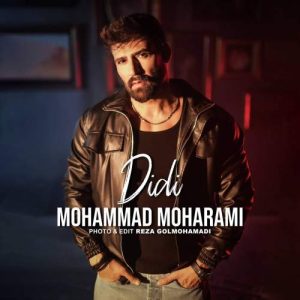 دانلود آهنگ محمد محرمی دیدی