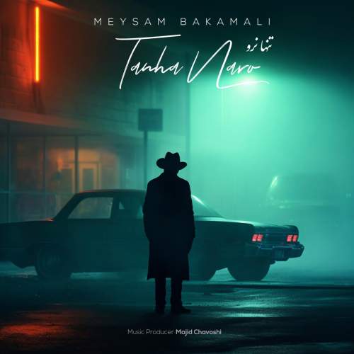 آهنگ میثم باکمالی تنها نرو