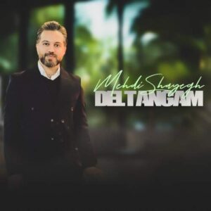 آهنگ مهدی شایق دلتنگم