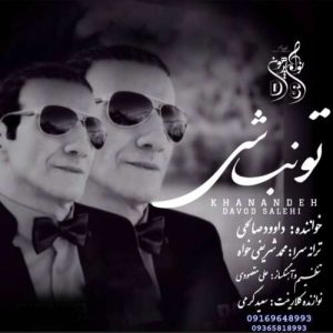 آهنگ داوود صالحی تو نباشی