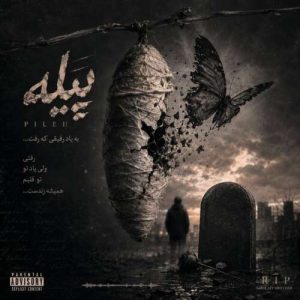 آهنگ حد پیله