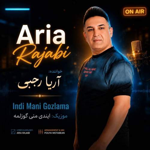 آهنگ آریا رجبی ایندی منی گوزلمه