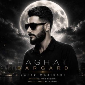 آهنگ وحید مزینانی فقط برگرد